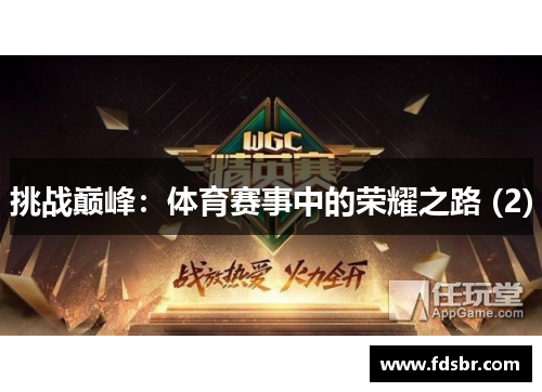 挑战巅峰：体育赛事中的荣耀之路 (2)